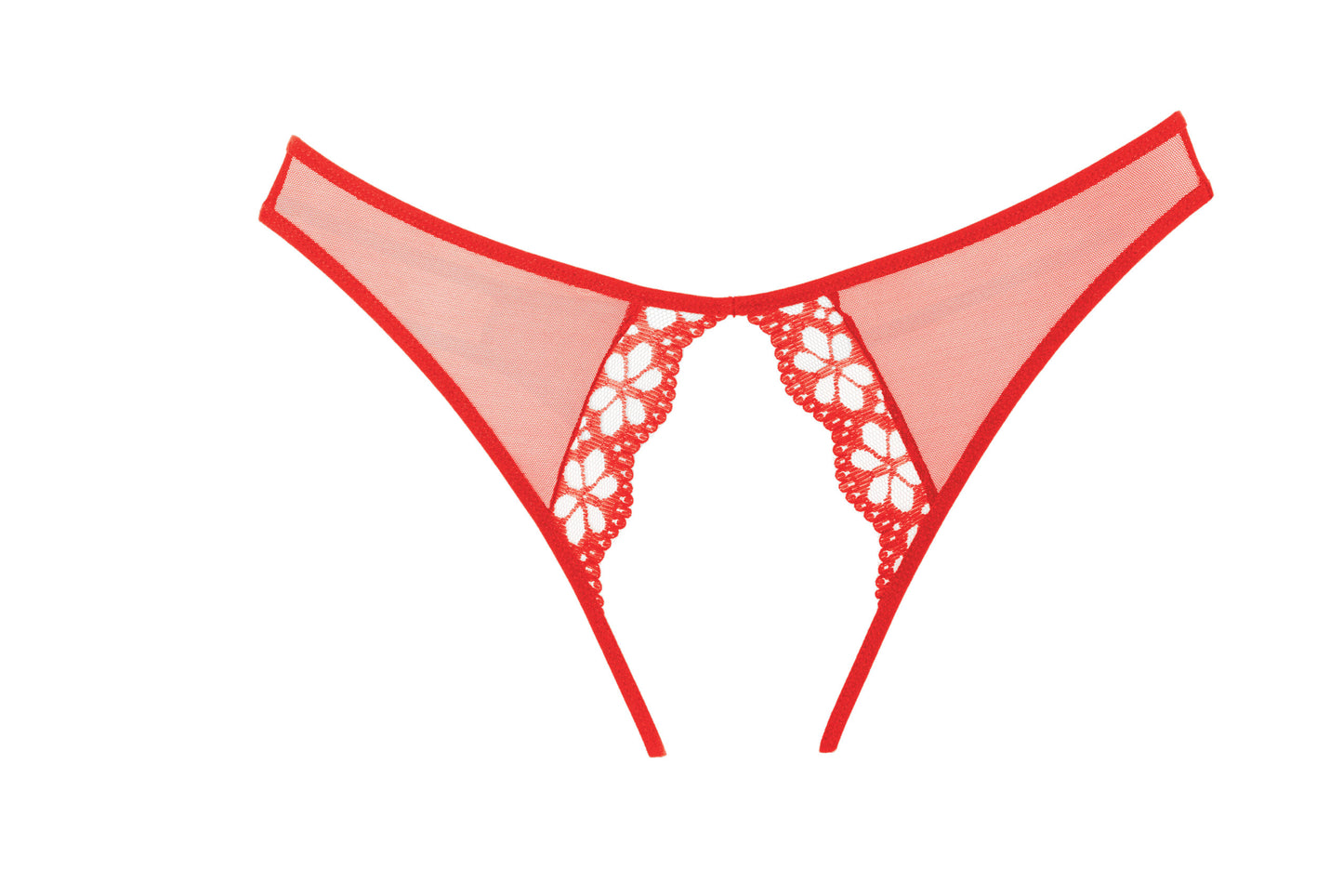 Mirabelle Plum Red Panty