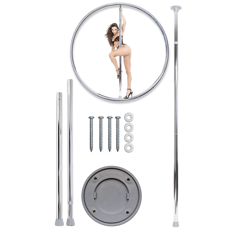 Fantasy Dance Poll Silver