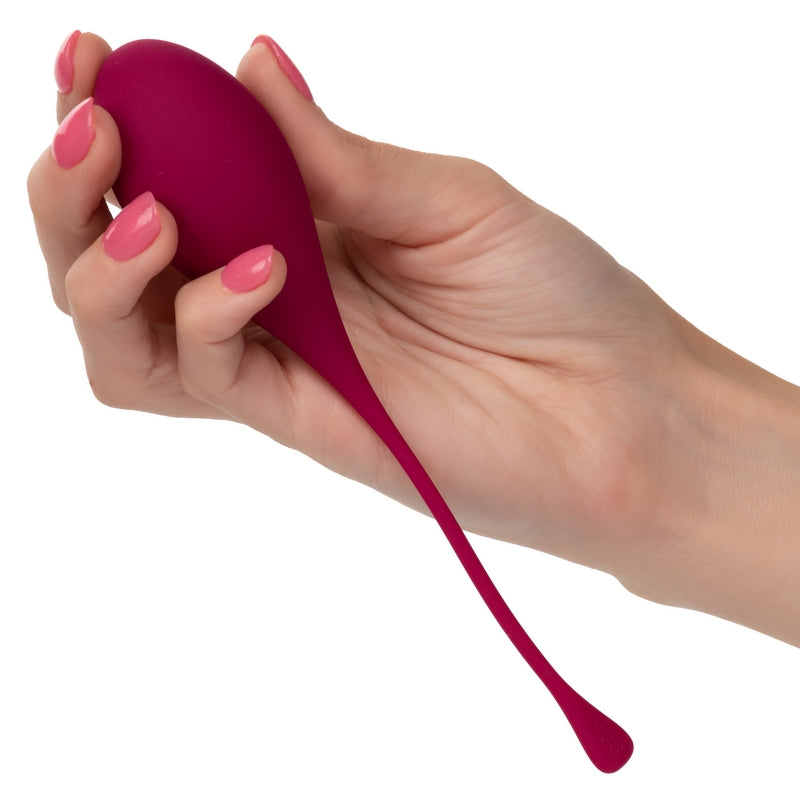 Kegel Training 5 Piece Set
