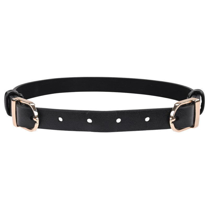 S&M Double Buckle  Day Collar