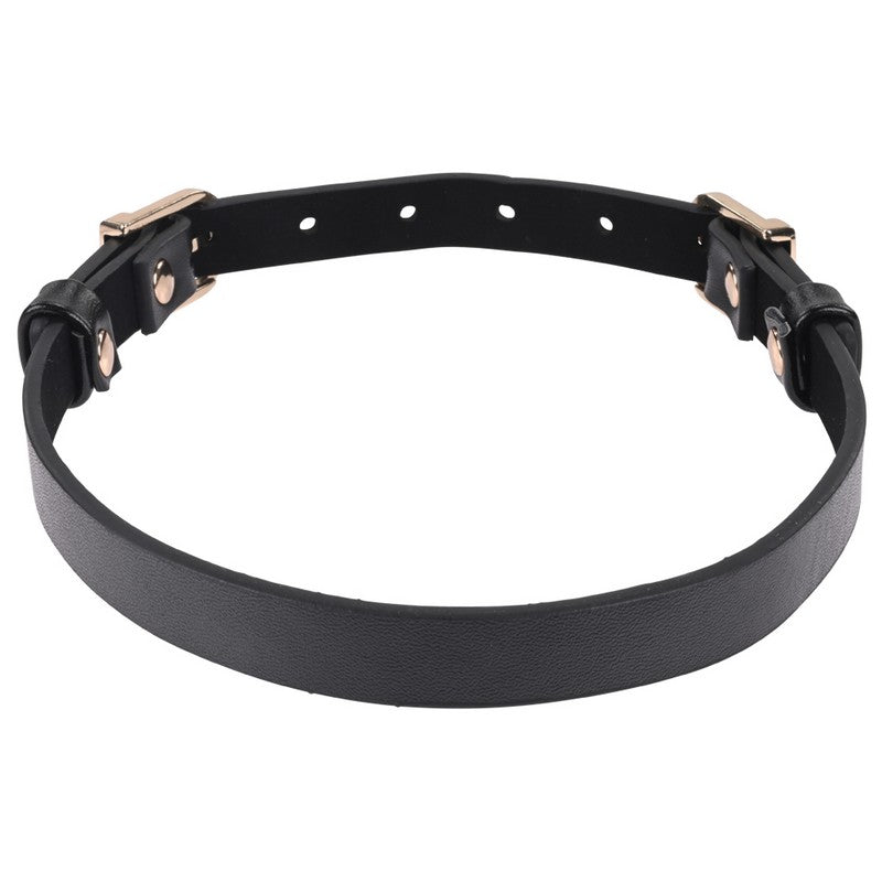 S&M Double Buckle  Day Collar