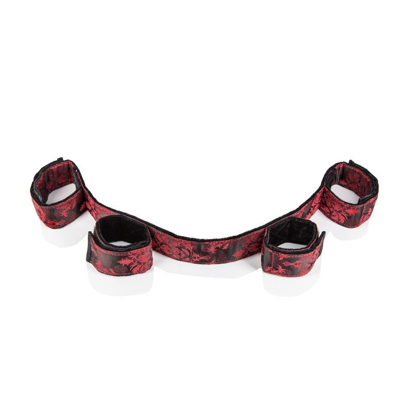 Scandal Bondage Bar