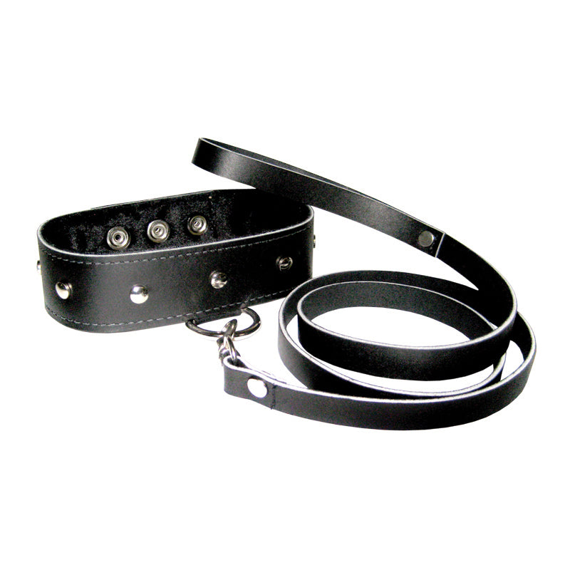 Leather Leash & Collar