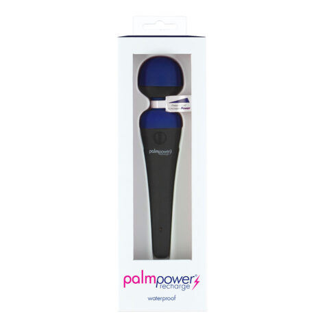 Palm Power Massager Blue Rechargeable